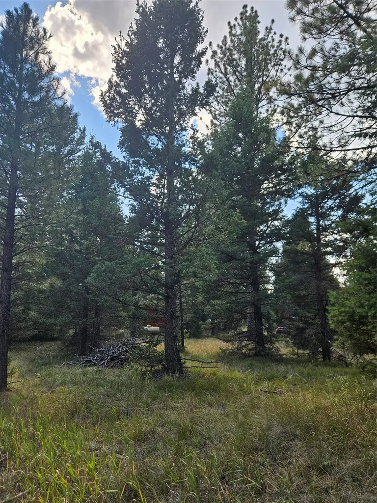 8880 Elk Trail Loop Lincoln MT 59639