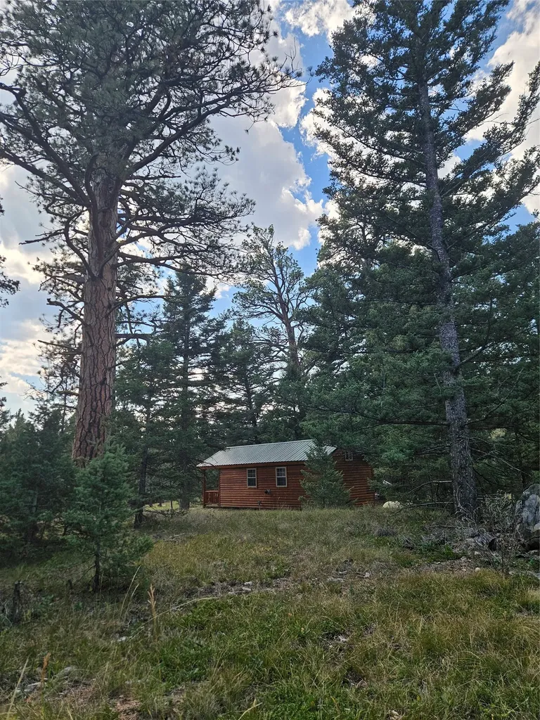 8880 Elk Trail Loop Lincoln MT 59639