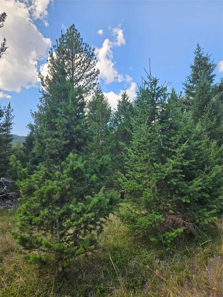 8880 Elk Trail Loop Lincoln MT 59639