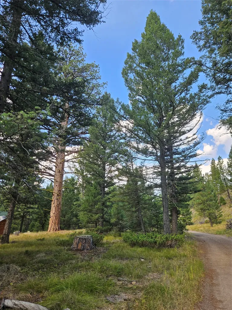8880 Elk Trail Loop Lincoln MT 59639