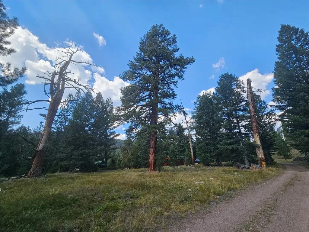8880 Elk Trail Loop Lincoln MT 59639