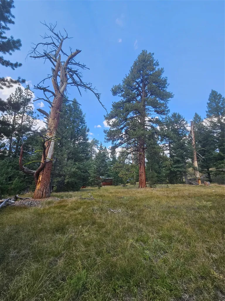 8880 Elk Trail Loop Lincoln MT 59639