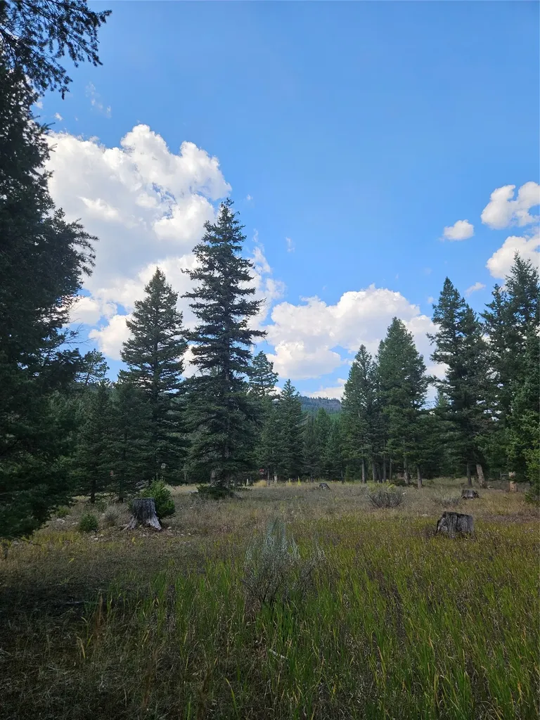 8880 Elk Trail Loop Lincoln MT 59639