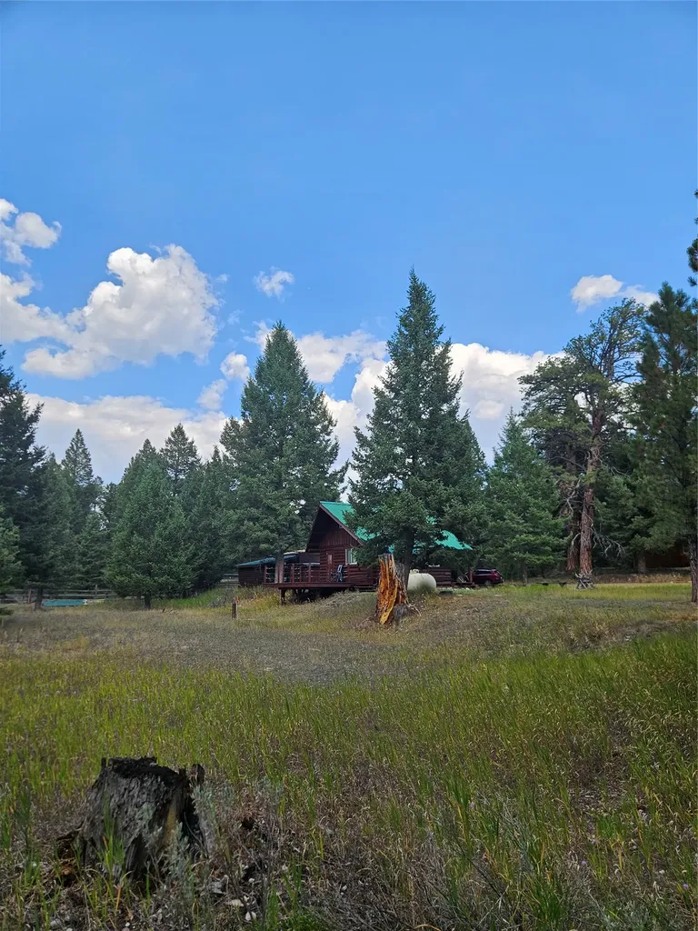 8880 Elk Trail Loop Lincoln MT 59639