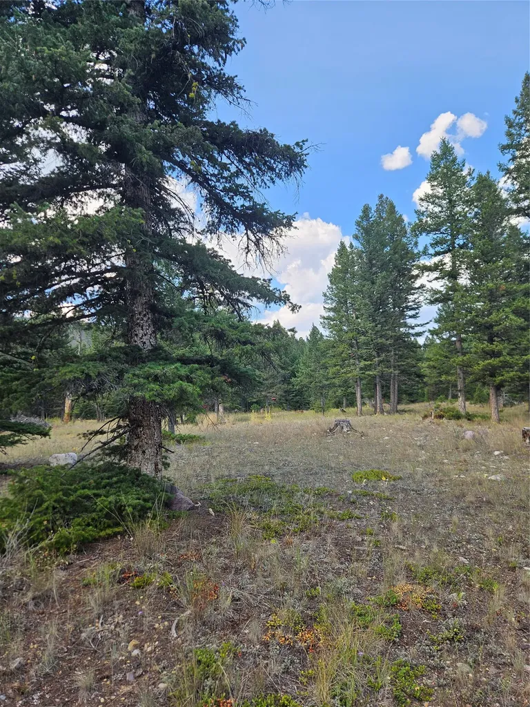 8880 Elk Trail Loop Lincoln MT 59639