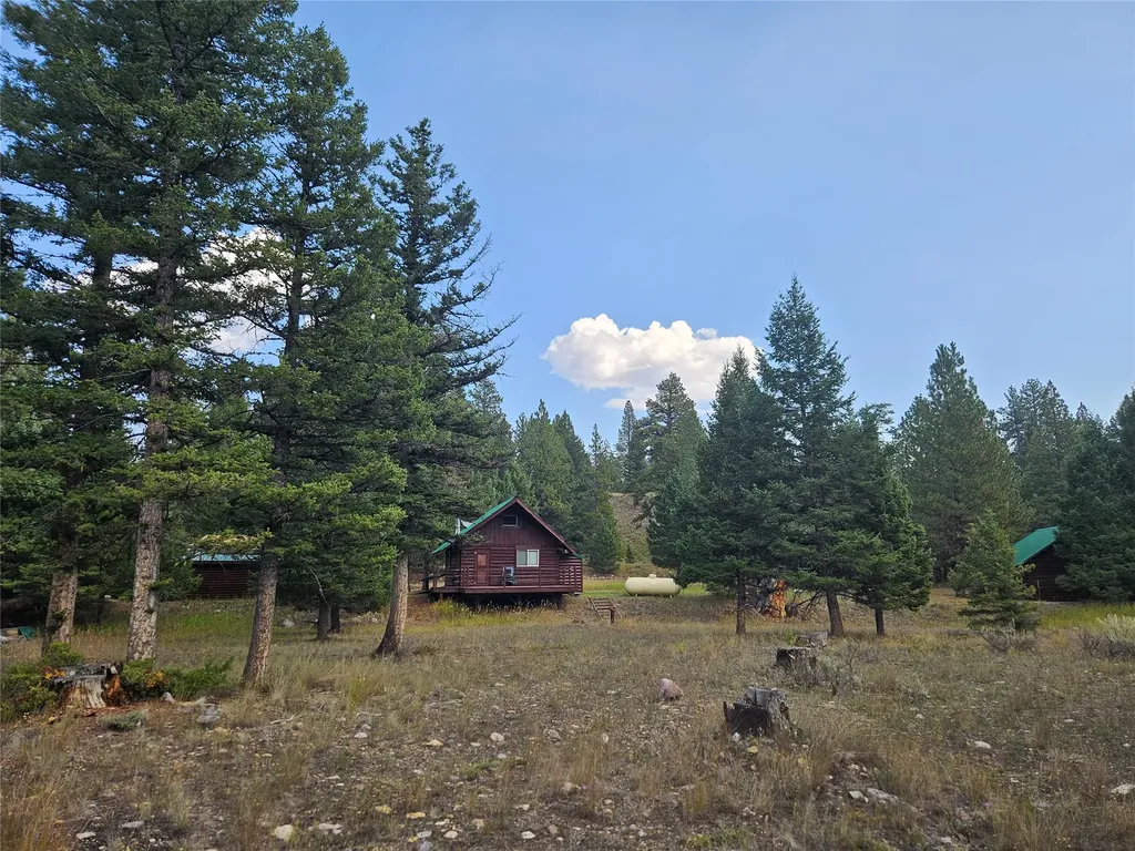 8880 Elk Trail Loop Lincoln MT 59639