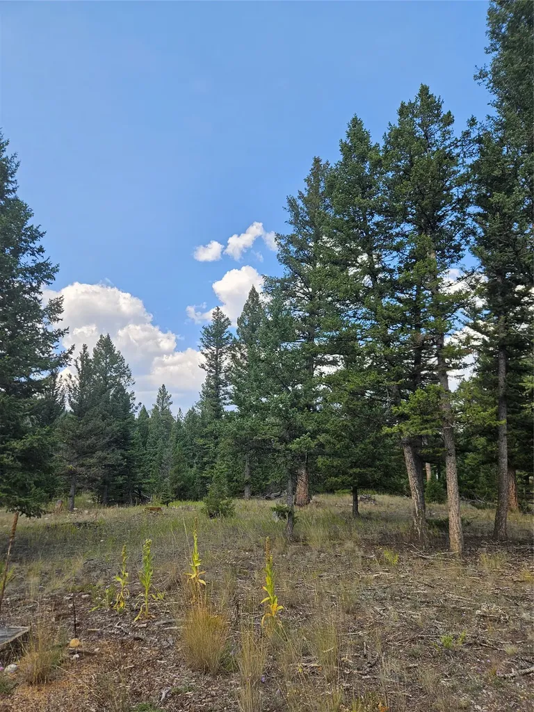 8880 Elk Trail Loop Lincoln MT 59639