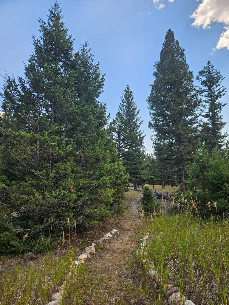 8880 Elk Trail Loop Lincoln MT 59639