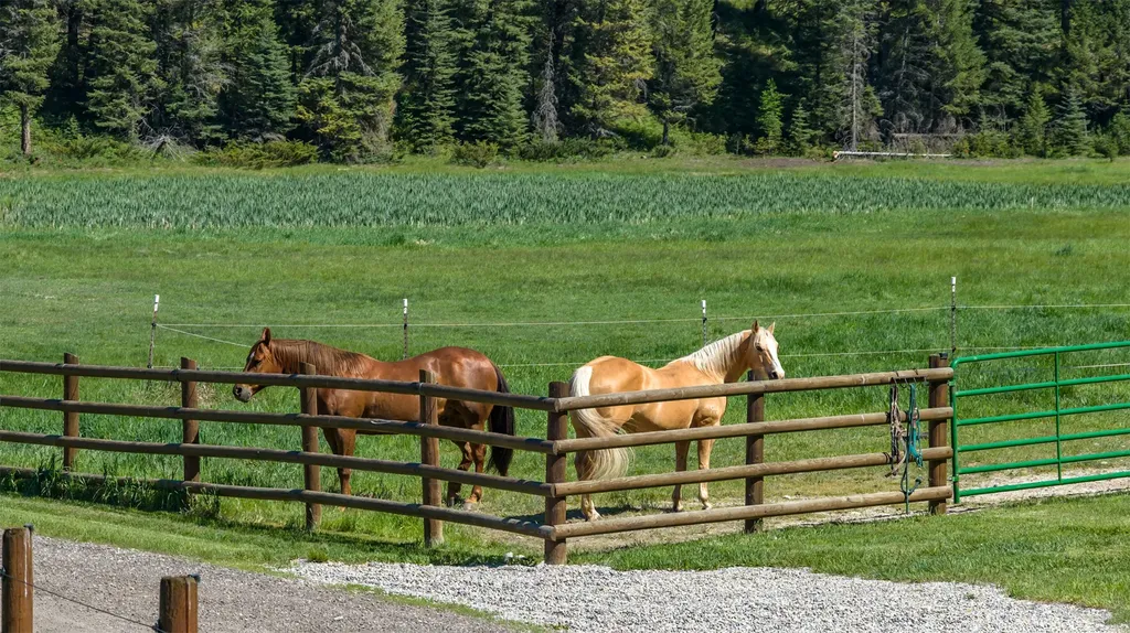 633 Beaver Creek Ranch Road Whitefish MT 59937