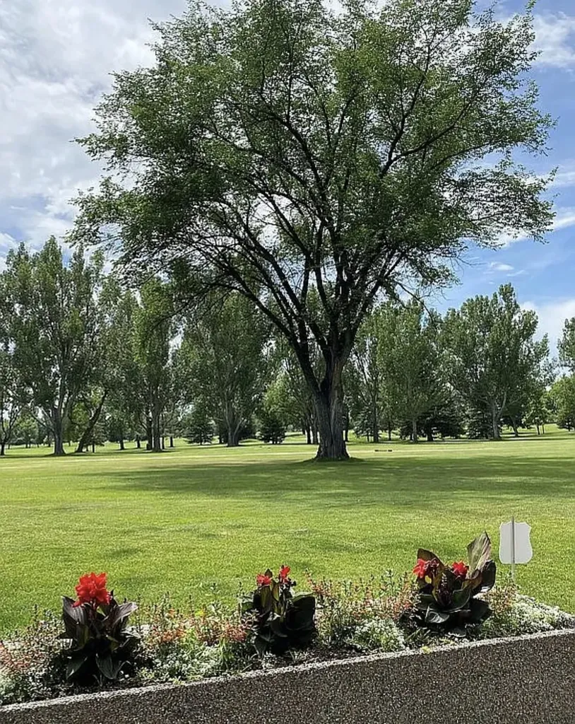 5810 Sam Snead Trail Billings MT 59106
