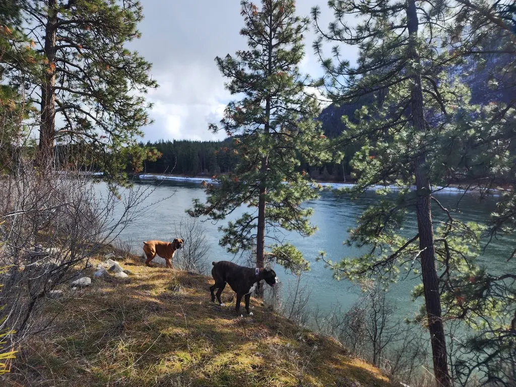 Nhn Harbine Ranch Estates Plains MT 59859