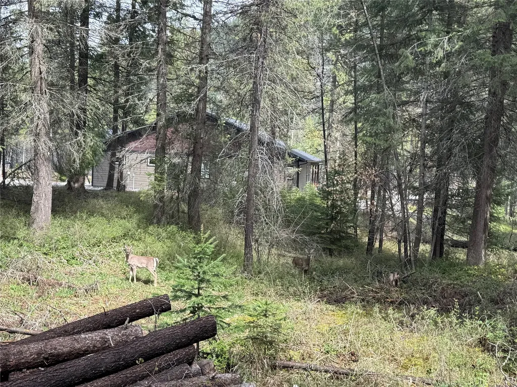 117 Cougar Meadow Drive St Regis MT 59866