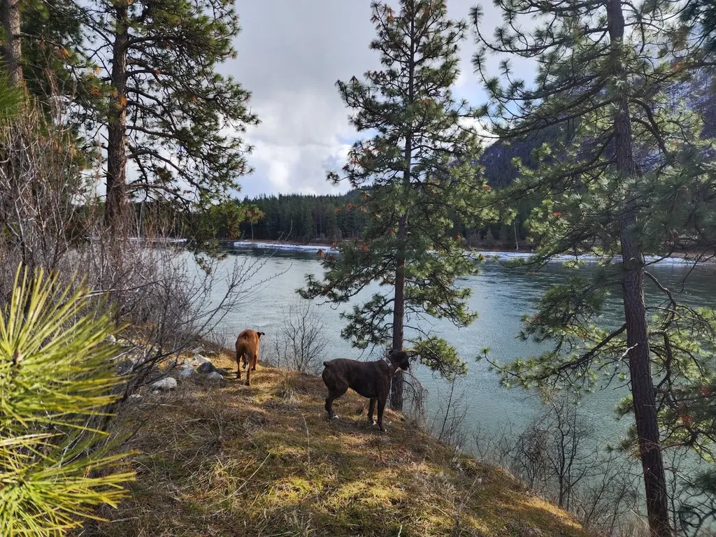 Nhn Harbine Ranch Estates Plains MT 59859