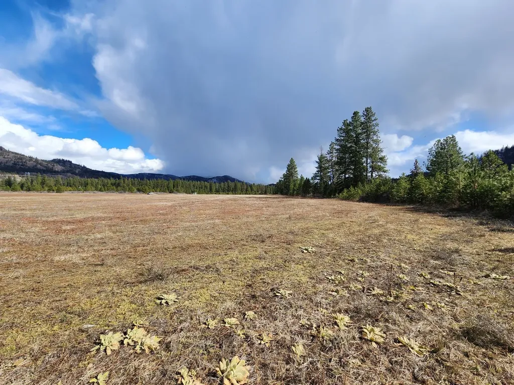 Nhn Harbine Ranch Estates Plains MT 59859