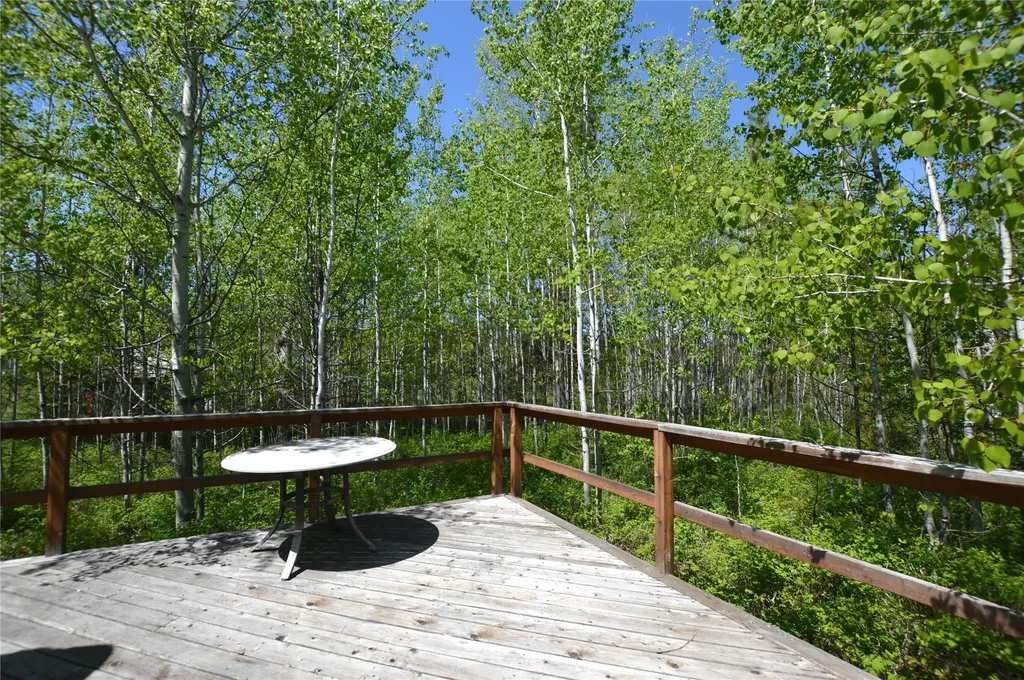 230 Skyline Drive Polebridge MT 59928