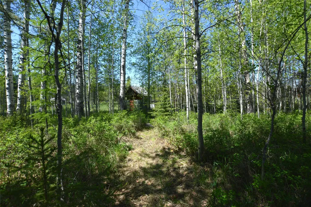 230 Skyline Drive Polebridge MT 59928