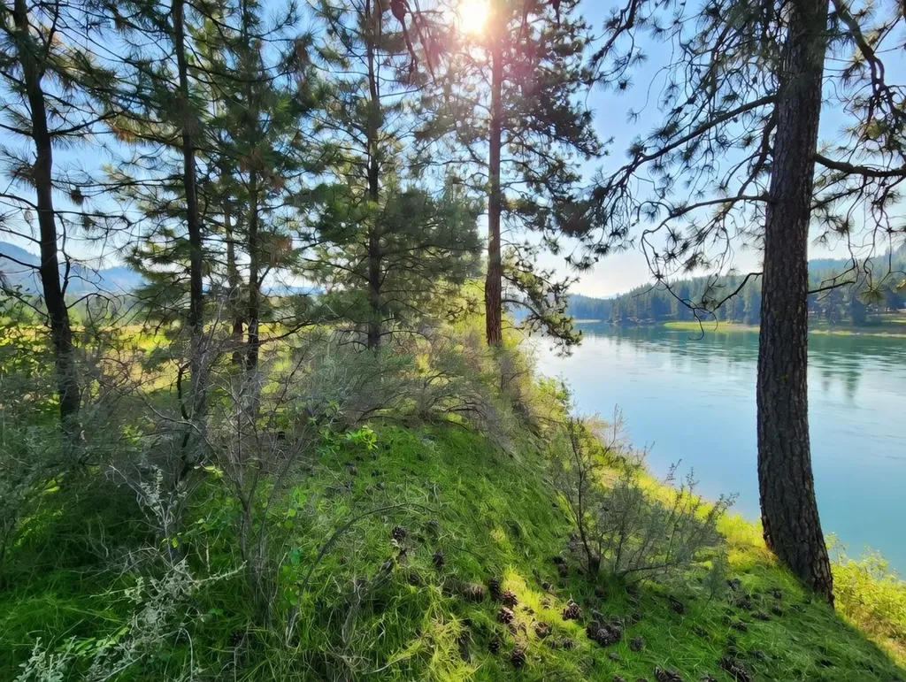 Nhn Harbine Ranch Estates Plains MT 59859