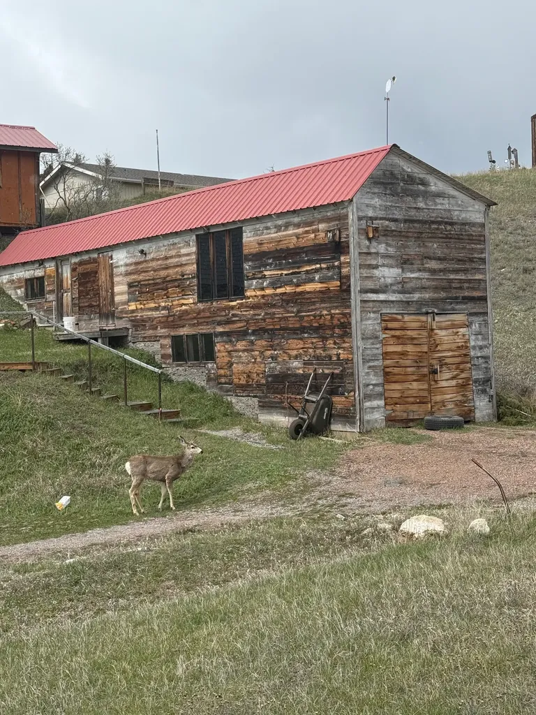 109 W Harrison Avenue Philipsburg MT 59858