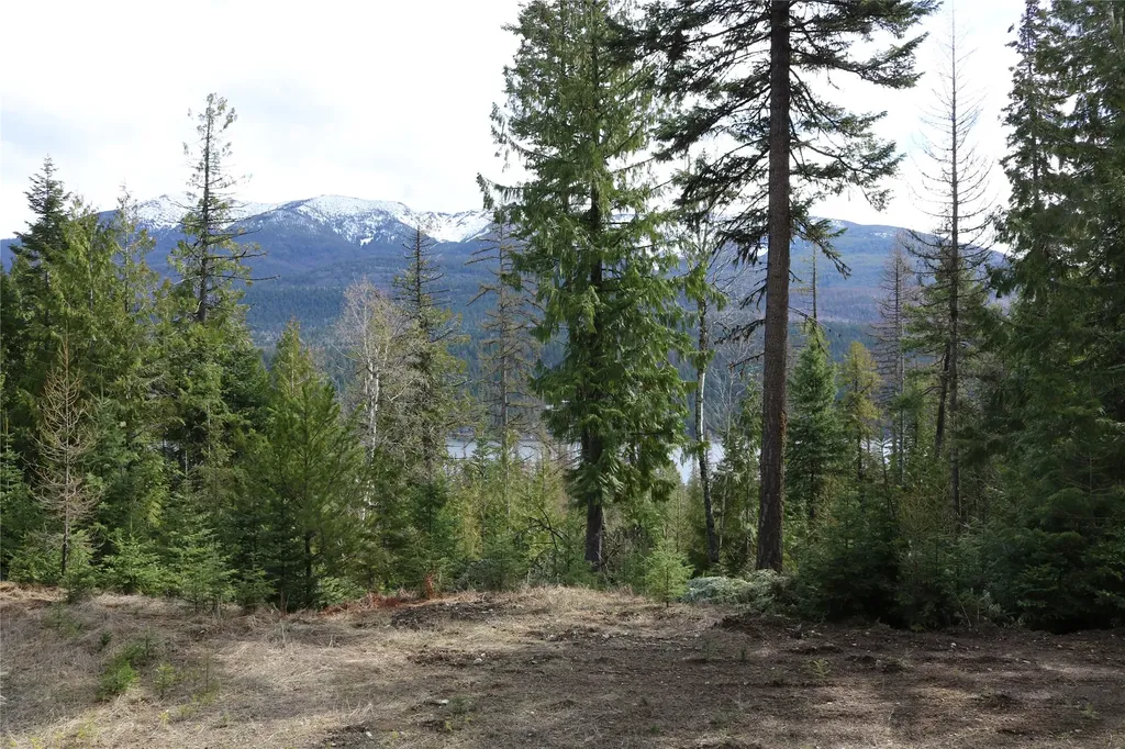 Nhn Into The Woods Trail Bigfork MT 59911