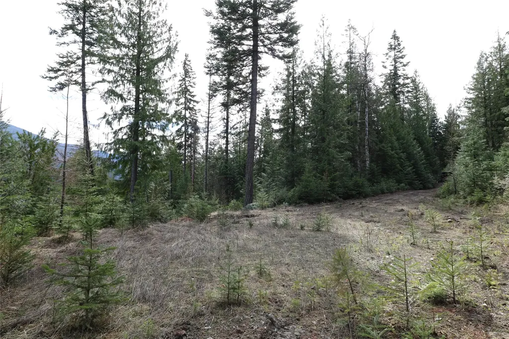 Nhn Into The Woods Trail Bigfork MT 59911