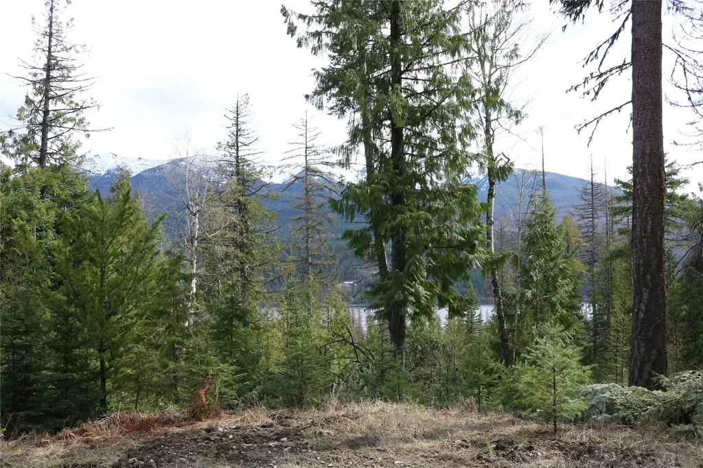 Nhn Into The Woods Trail Bigfork MT 59911