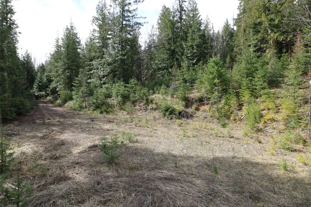 Nhn Into The Woods Trail Bigfork MT 59911