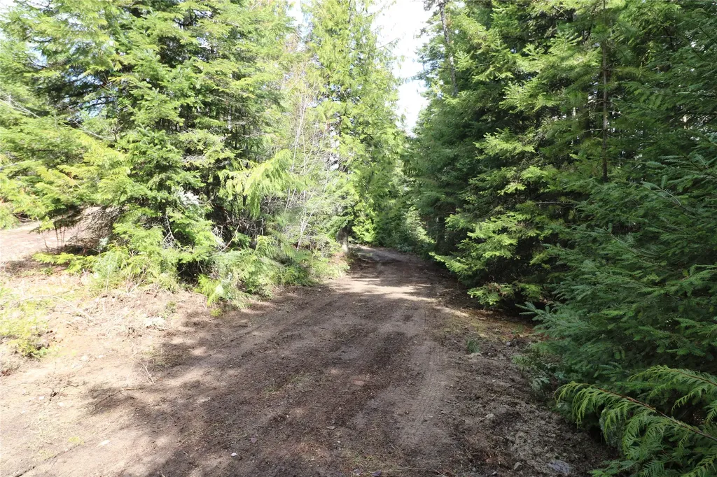 Nhn Into The Woods Trail Bigfork MT 59911