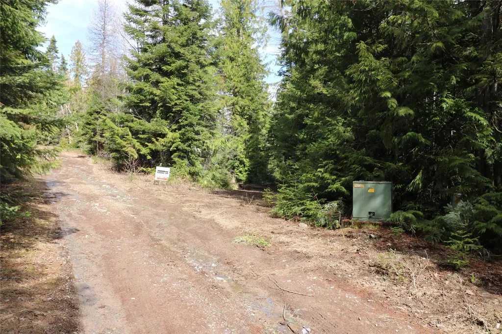 Nhn Into The Woods Trail Bigfork MT 59911