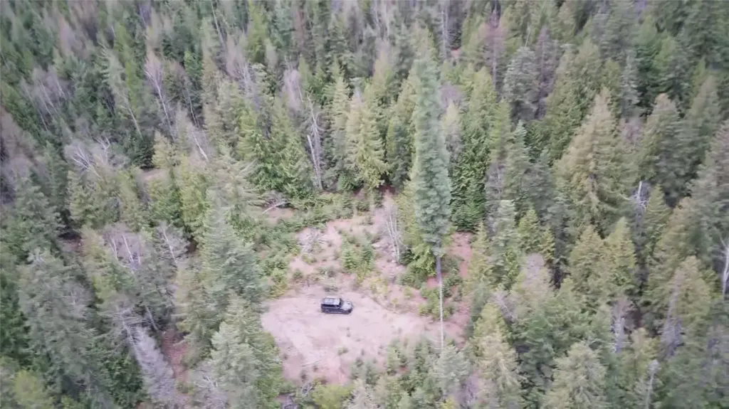 Nhn Into The Woods Trail Bigfork MT 59911