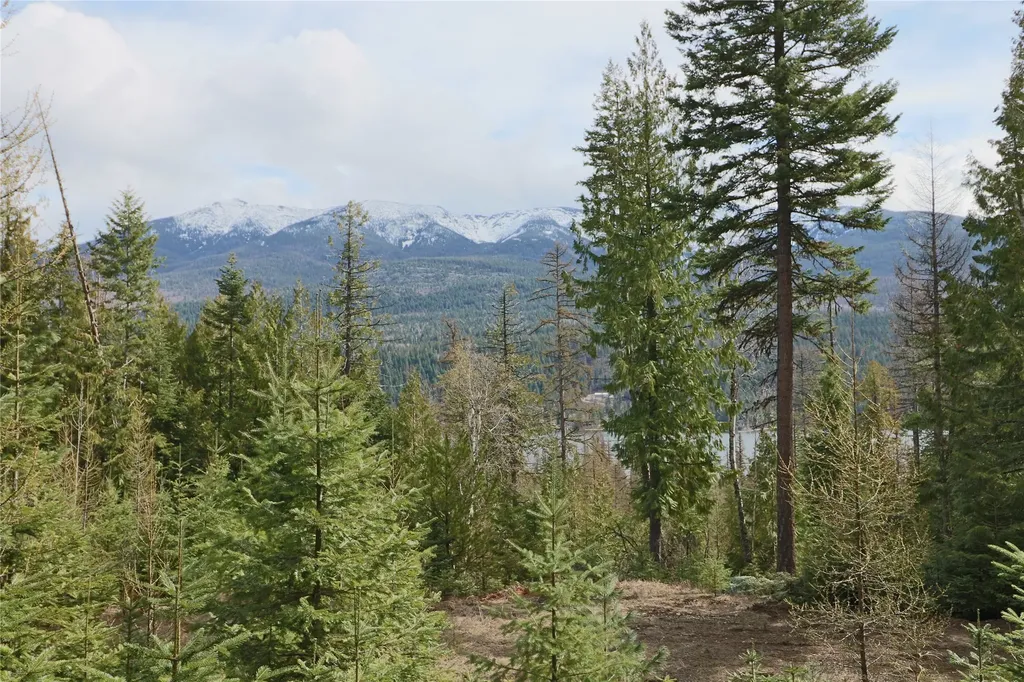 Nhn Into The Woods Trail Bigfork MT 59911