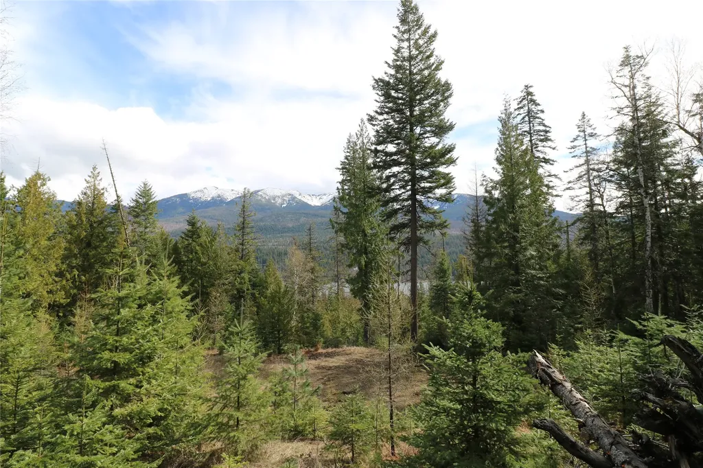 Nhn Into The Woods Trail Bigfork MT 59911