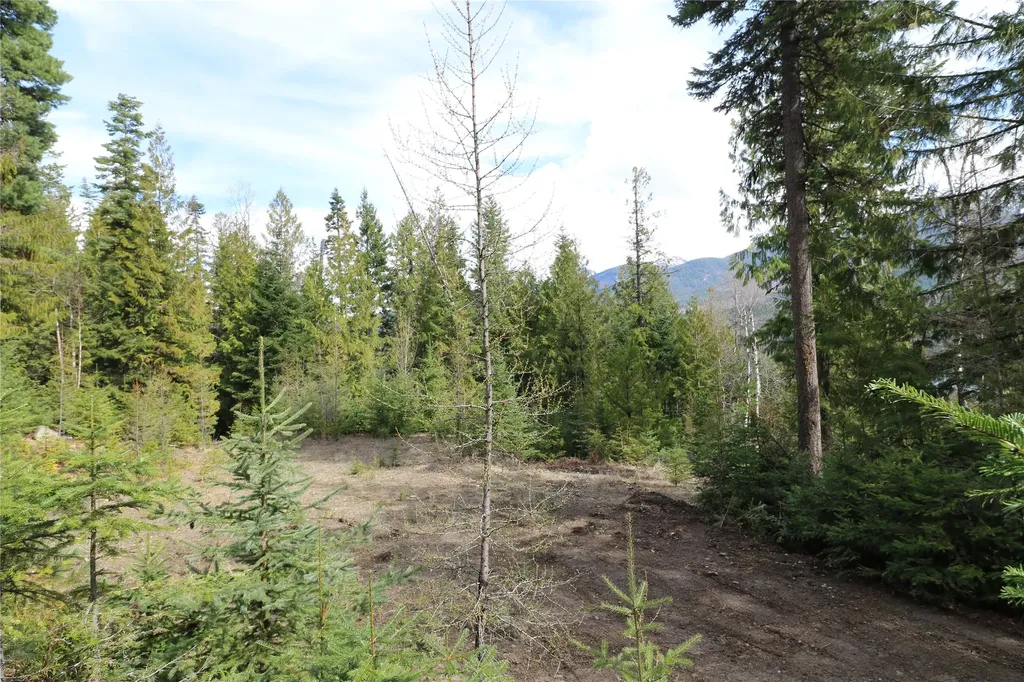 Nhn Into The Woods Trail Bigfork MT 59911