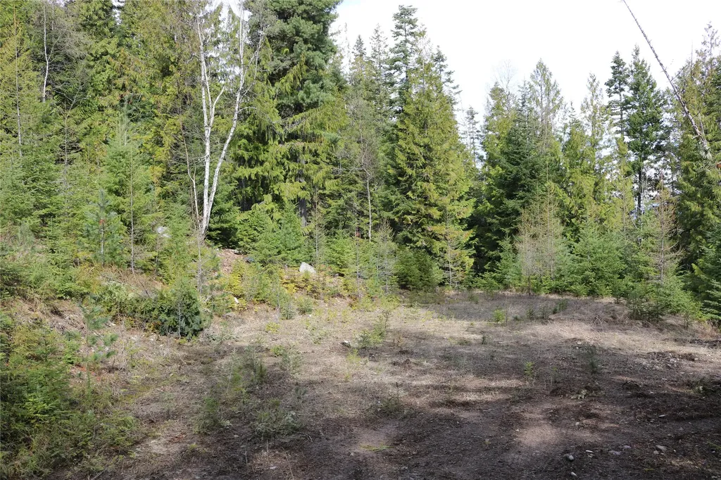 Nhn Into The Woods Trail Bigfork MT 59911