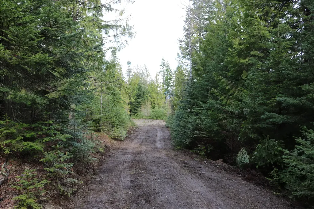 Nhn Into The Woods Trail Bigfork MT 59911