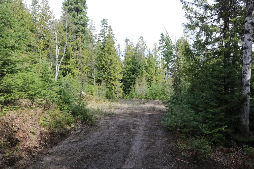 Nhn Into The Woods Trail Bigfork MT 59911