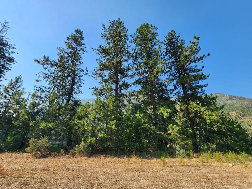 Nhn Harbine Ranch Estates Plains MT 59859
