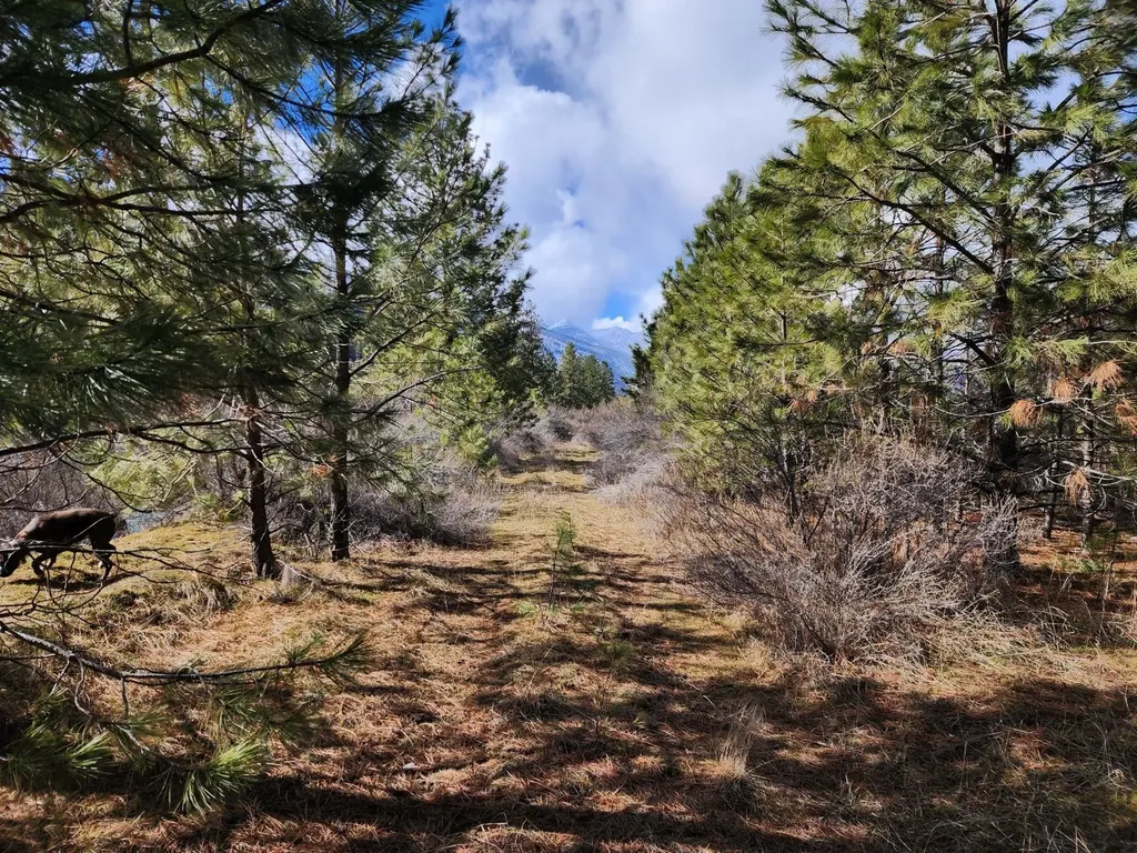 Nhn Harbine Ranch Estates Plains MT 59859
