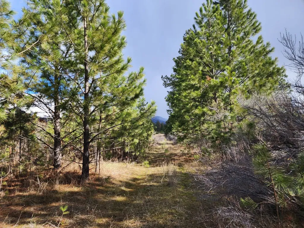 Nhn Harbine Ranch Estates Plains MT 59859