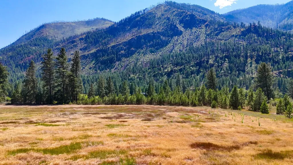 Nhn Harbine Ranch Estates Plains MT 59859