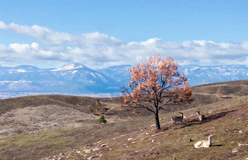 Nhn Butler Creek Road Missoula MT 59808