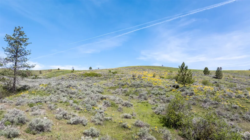 Nhn Butler Creek Road Missoula MT 59808