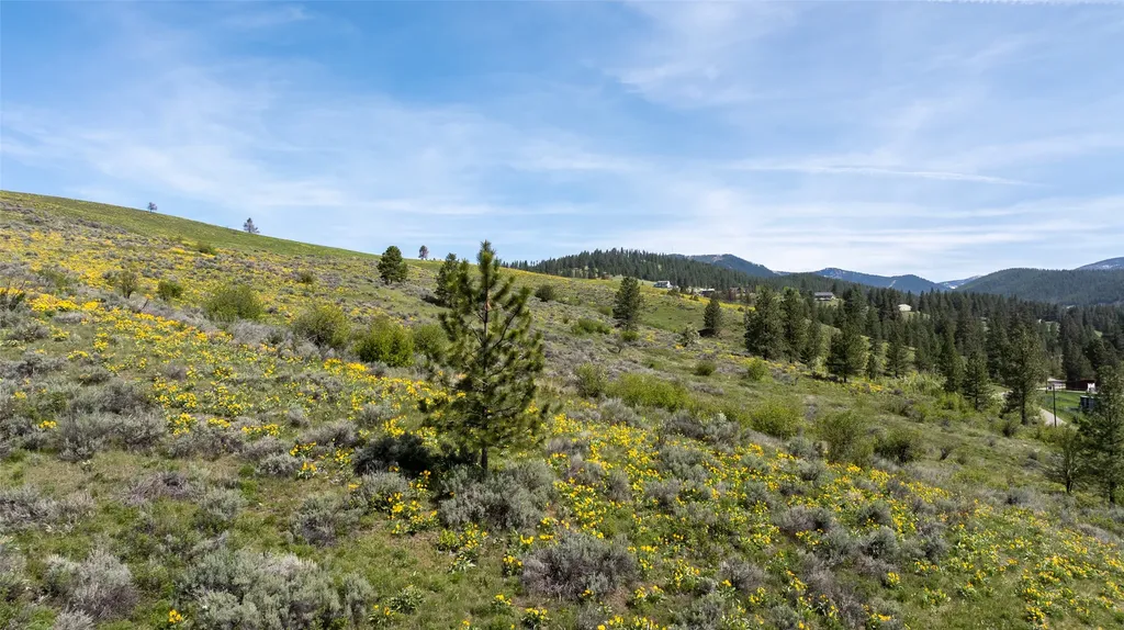 Nhn Butler Creek Road Missoula MT 59808