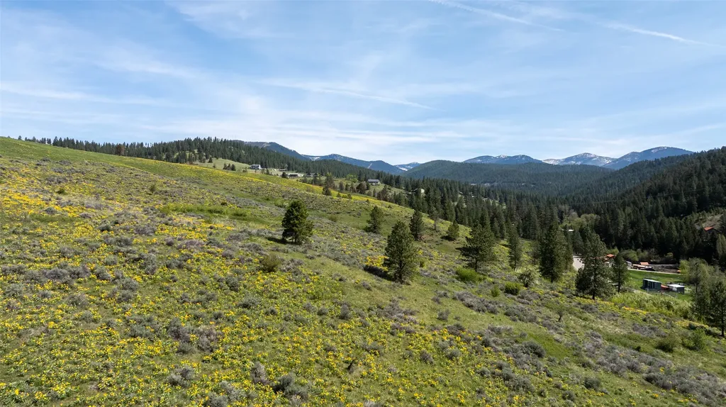 Nhn Butler Creek Road Missoula MT 59808