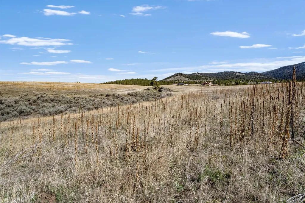 Tract 271 Sapphire Ranch Trail Corvallis MT 59828