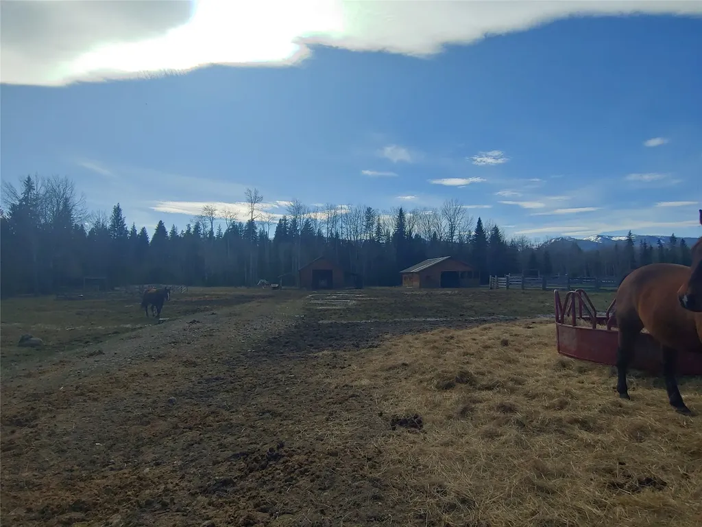 Bigfork MT 59911