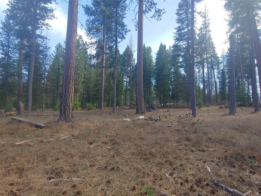 Bigfork MT 59911