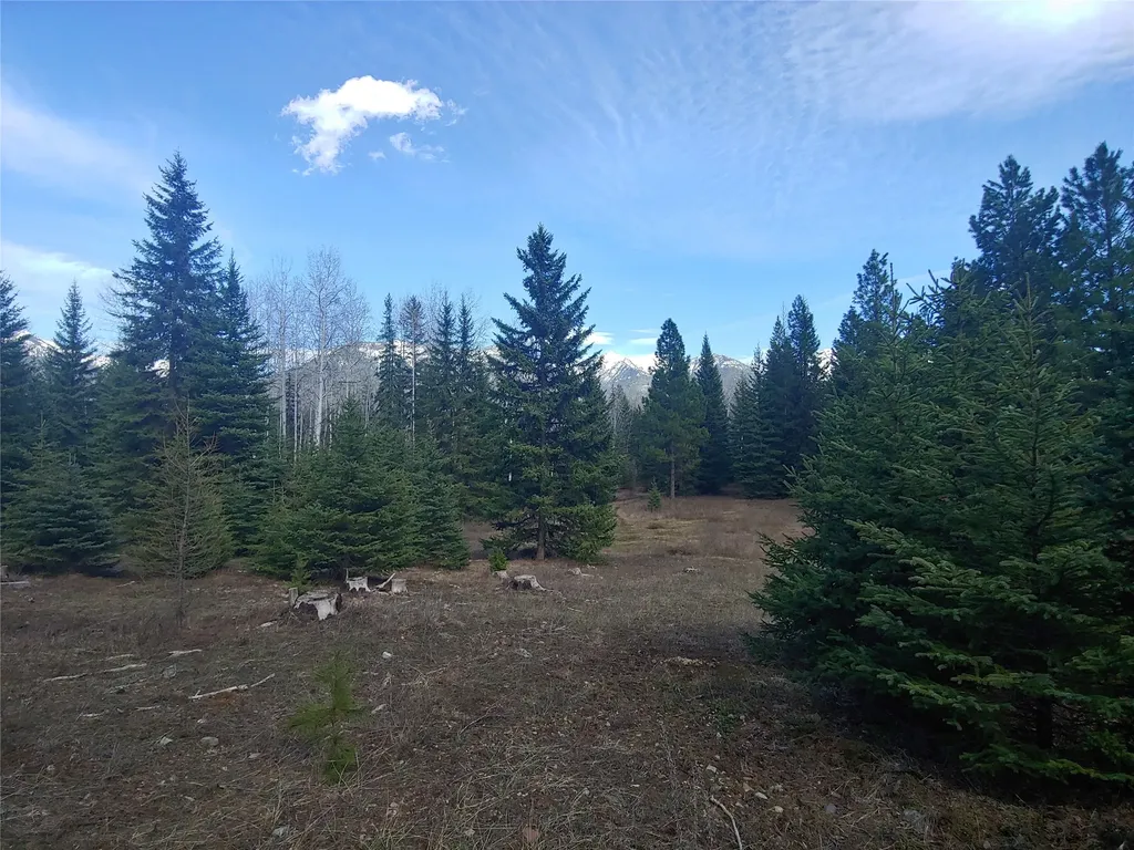 Bigfork MT 59911