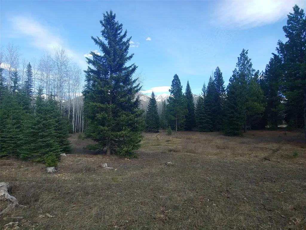 Bigfork MT 59911