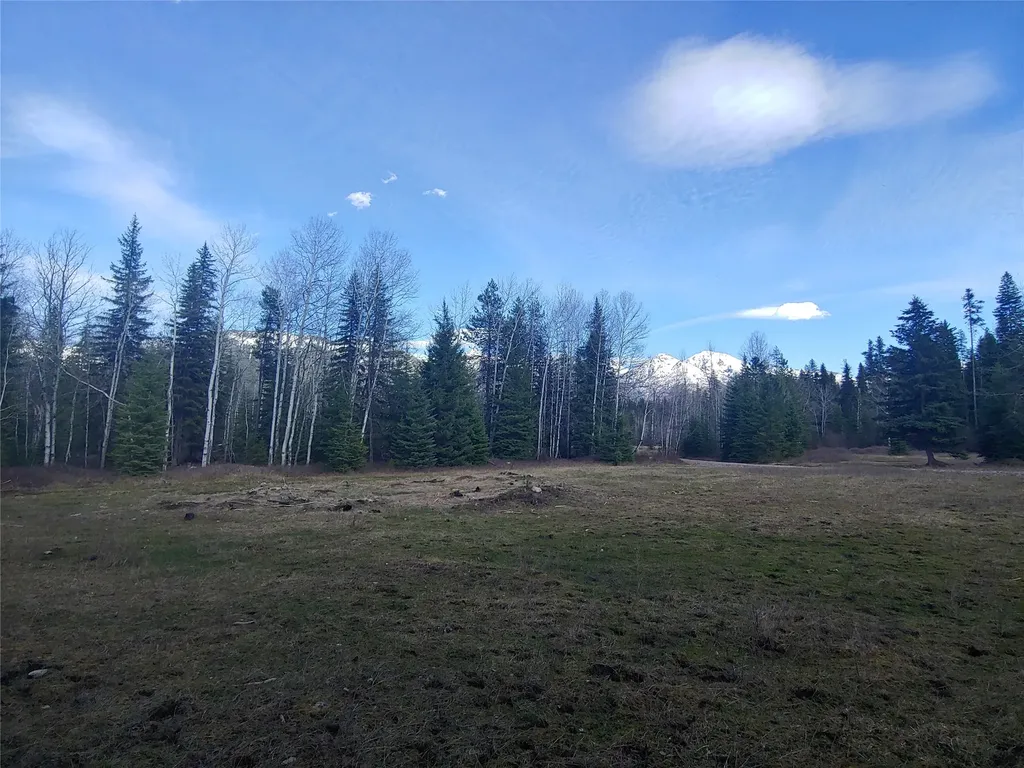 Bigfork MT 59911