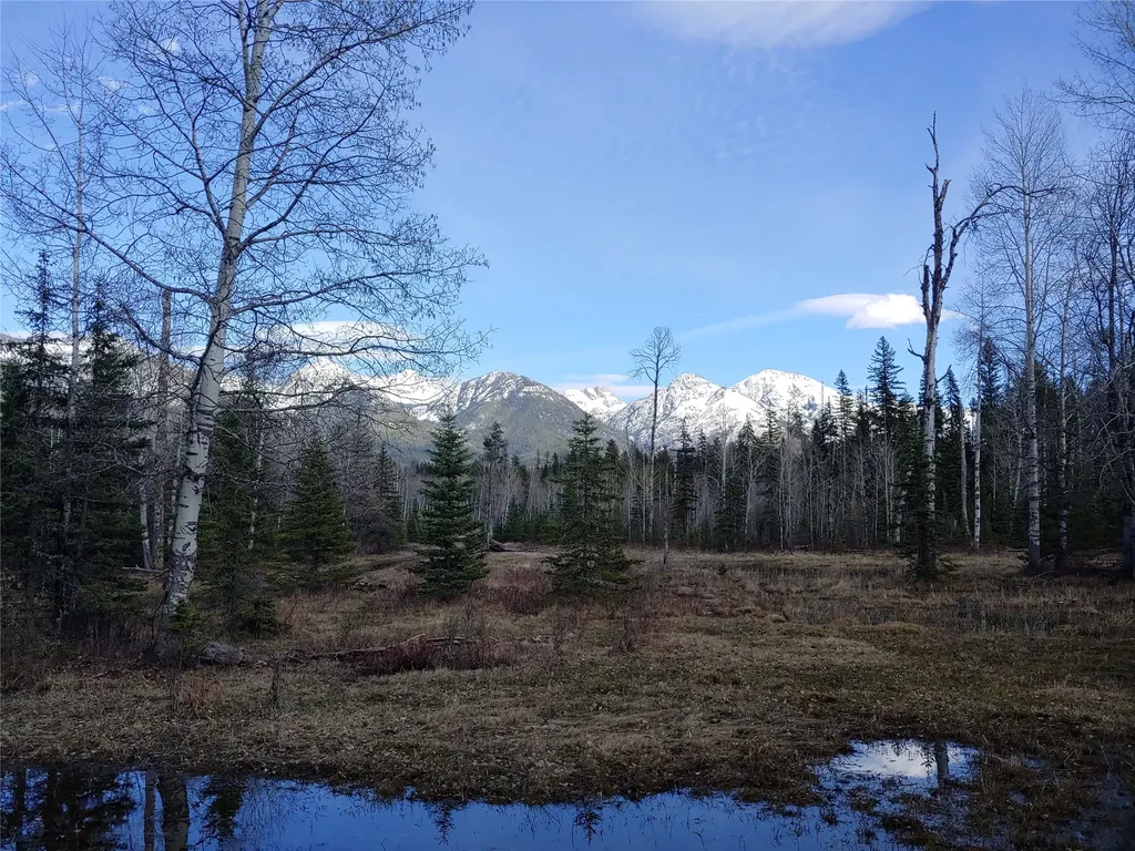 Bigfork MT 59911